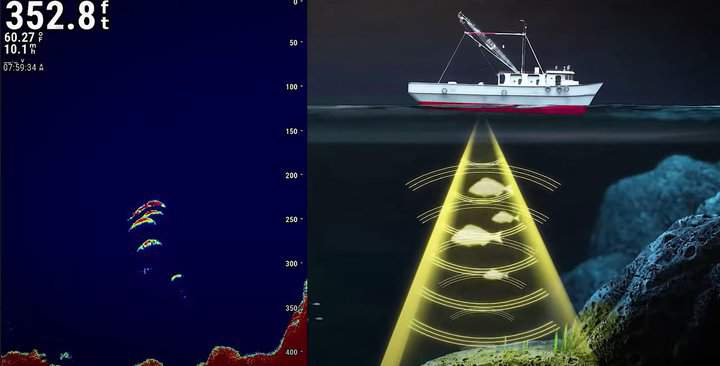 illustration of how fish finder detect fish. Fish that passes through sonar waves appear as arches on fish finder screen.
