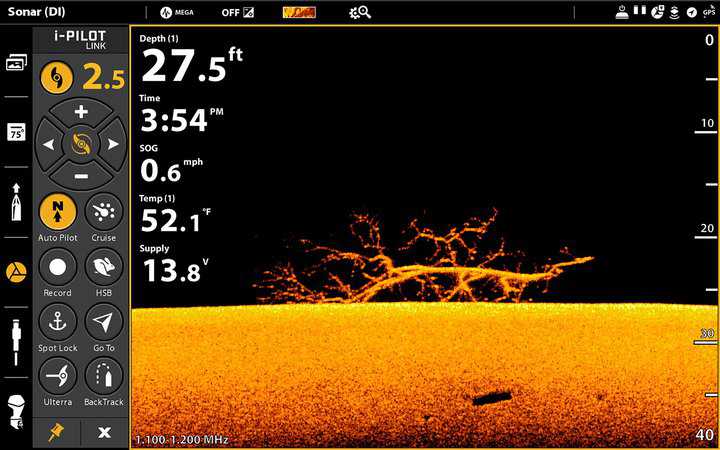 down imaging sonar