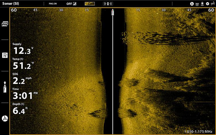 fish finder underwater sonar image