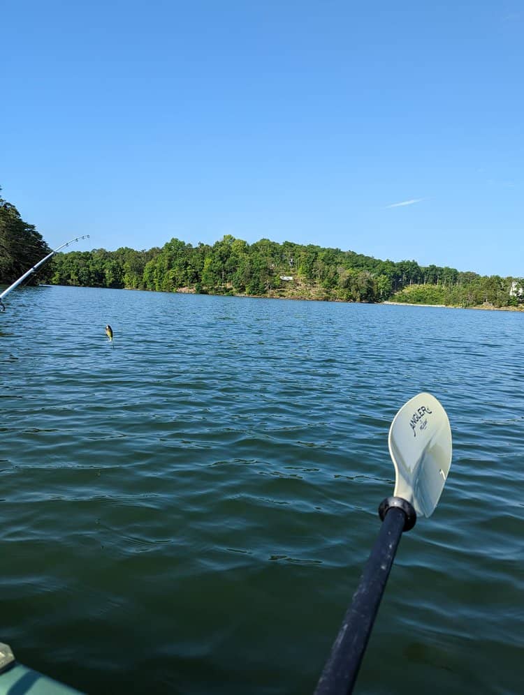 fish caught in lake