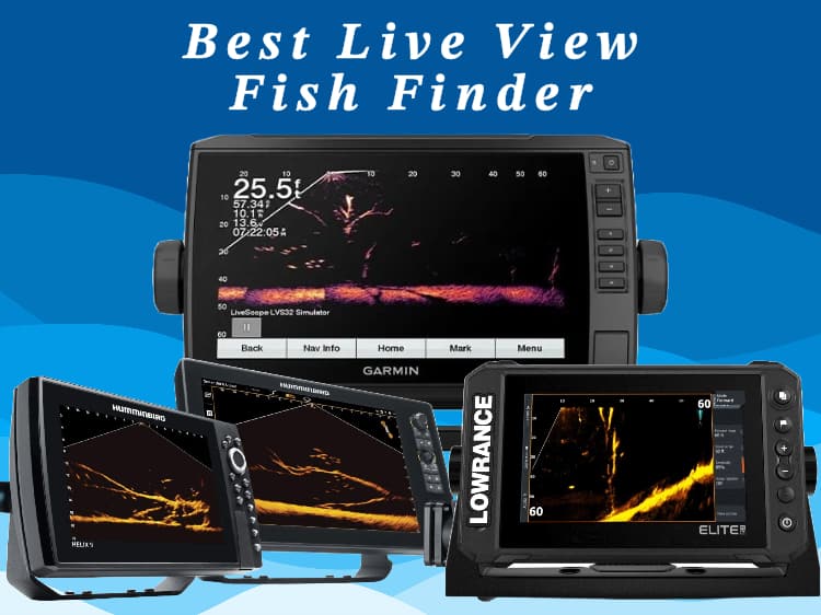 best live view fish finder: Livescope vs MEGA Live vs Active Target