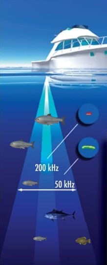 fish finder frequency illustration. sonar beam with different cone angles and depth range.