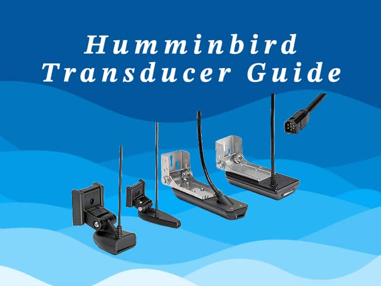 humminbird transducers