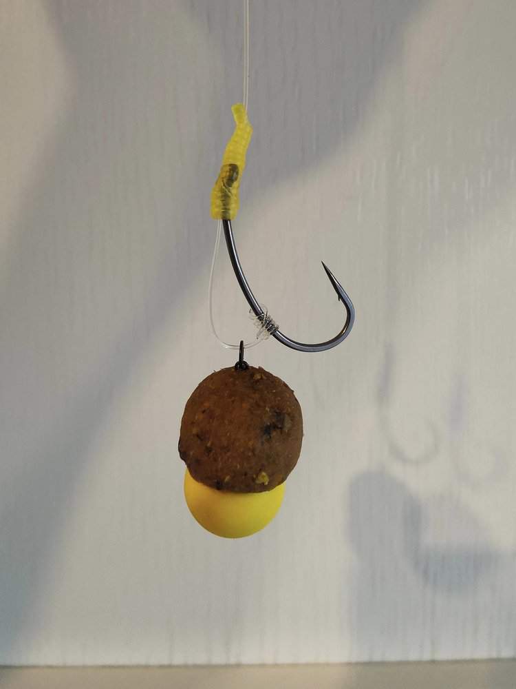 boilies carp fishing bait hair rig