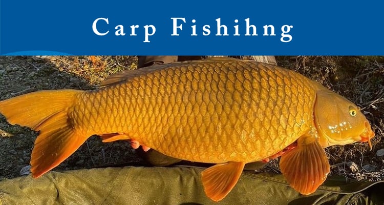 carp fishing