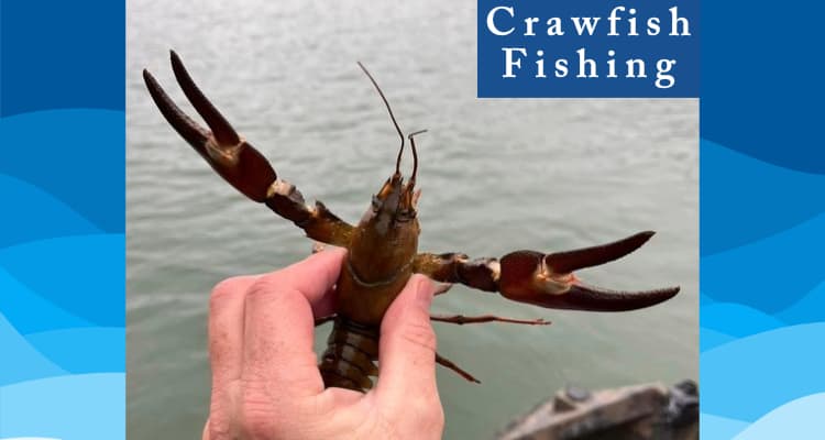 crawfish fishing