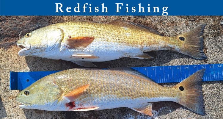 redfish fishing