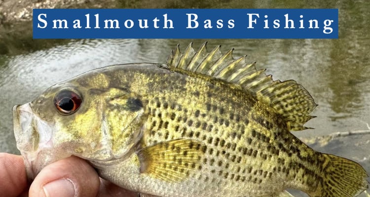 How To Fish For Smallmouth Bass | The Idaho Fisherman