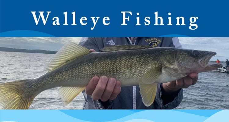 walleye fishing