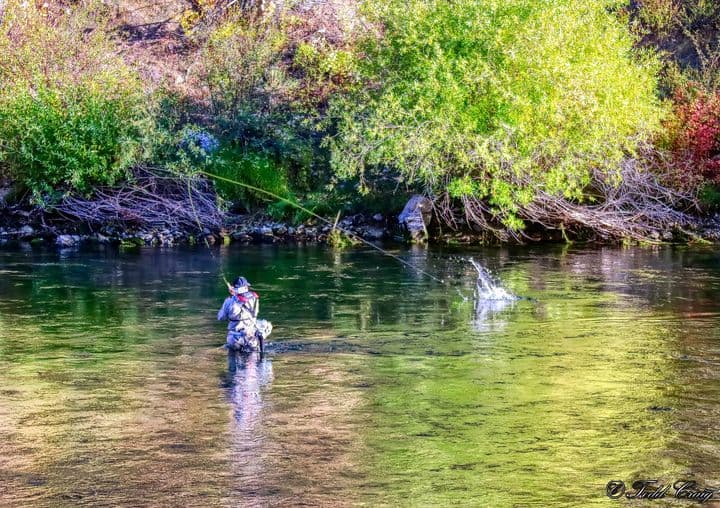 Fly fishing South fork Boise River