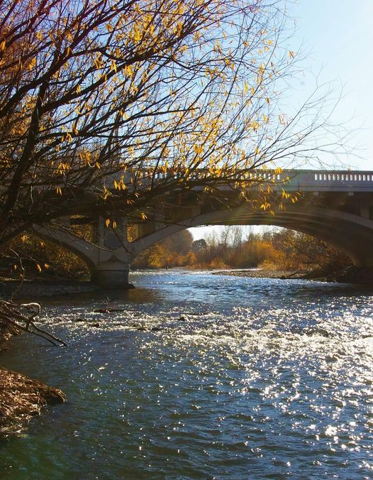 Steelhead fishing downtown Boise