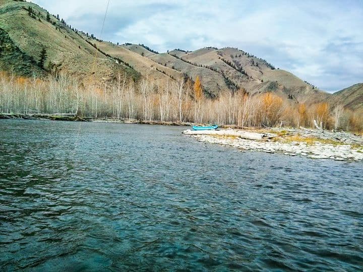 steelhead fishing salmon river